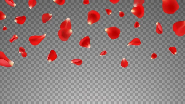 Rote Fliegende Blütenblätter Realistisch Fallende Blütenblätter Isoliert Auf Transparentem Hintergrund — Stockvektor