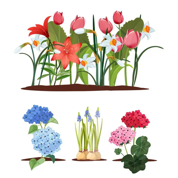 Frühlingsblumen Setzlinge Gartenarbeit Und Pflanzen Isoliert Schöne Blumenbeete Blühende Vektorset — Stockvektor