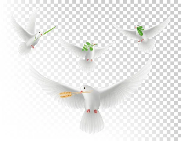 Realistische Tauben Mit Ästen Weiße Fliegende Tauben Isolierten Vektor Set — Stockvektor