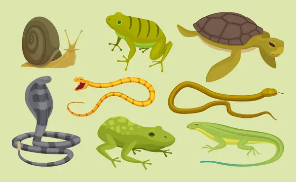 Reptielen Klaar Hagedis Slang Schildpadden Slak Cartoon Vector Wilde Dieren — Stockvector