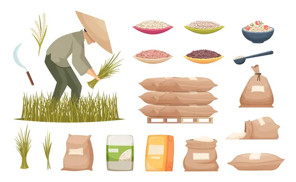 Reissäcke Landwirtschaftliche Produkte Braunen Und Weißen Reis Transportieren Lebensmittelzutaten Vektorillustrationen — Stockvektor