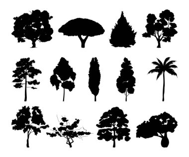 Farklı ağaç siluetleri tek renkli çizimler. Siyah ahşap ağaç vektör yaprak ile