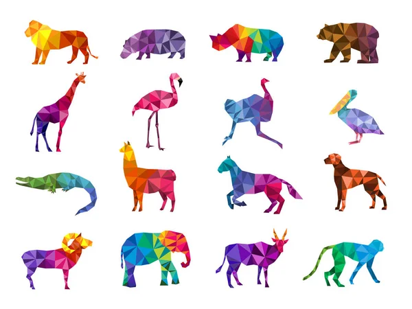 Baixo Poli Animais Silhuetas Forma Triangular Geométrica Animais Coloridos Zoológico —  Vetores de Stock