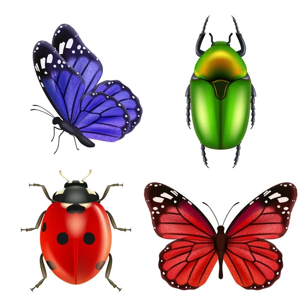 Insetos Realistas Bugs Borboleta Joaninha Coleção Vetorial Formiga Insetos Coloridos — Vetor de Stock