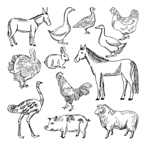 农场动物设置放在手工绘制的样式 矢量插图 动物农场素描鹅和羊 猪和马 — 图库矢量图片