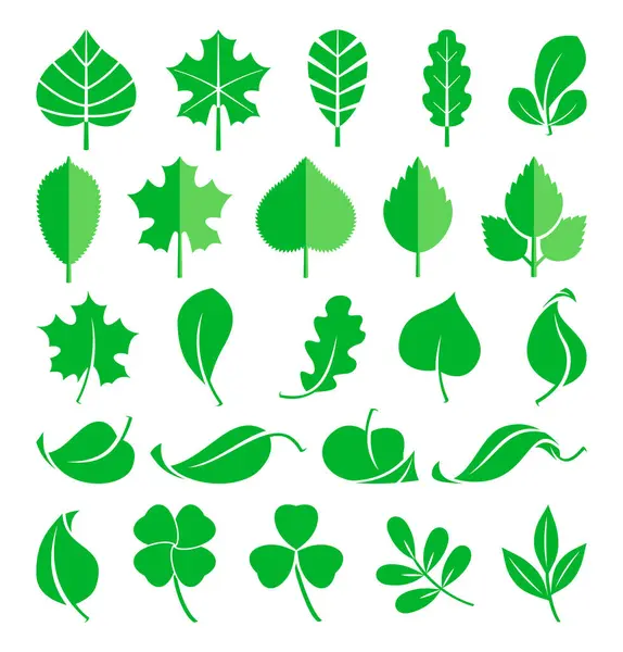 Растения Листья Побеги Травы Векторная Иллюстрация Плоском Стиле Природа Зеленый — стоковый вектор