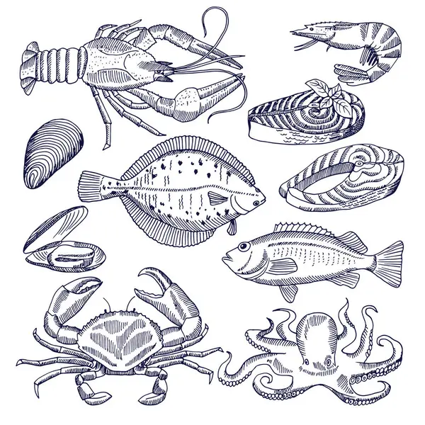 Deniz Ürünleri Restoran Gurme Mutfak Için Vektörel Çizimler Stiridye Istakoz — Stok Vektör