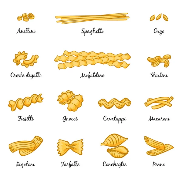 マカロニ スパゲッティ イタリアン パスタの種類します ベクター形式の画像は 白地に分離します イタリア料理料理 伝統的なタイプのスパゲティ図 — ストックベクタ