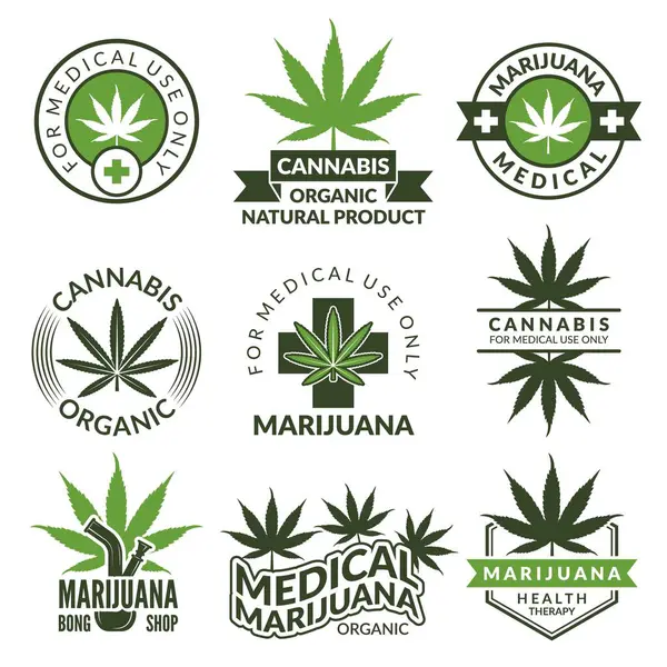 Labels Set Different Pictures Marijuana Plants Medical Herbs Cannabis Leaf — Stock Vector