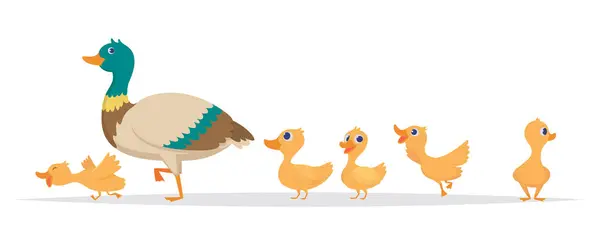 Madre Anatra Fila Anatre Selvatiche Uccelli Famiglia Camminare Collezione Cartoni — Vettoriale Stock