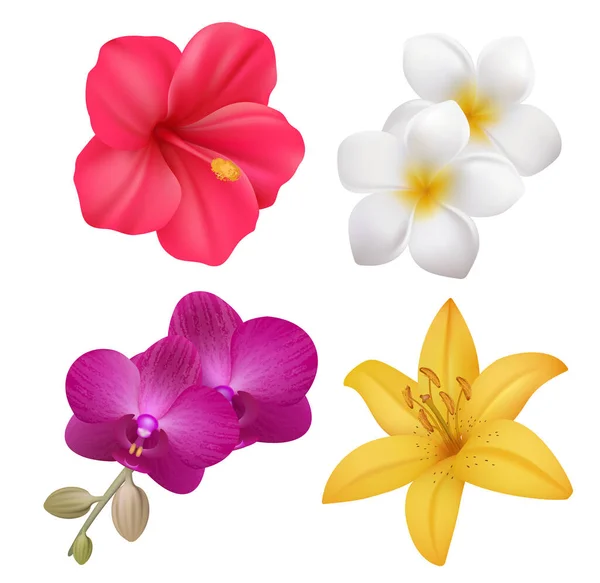 Tropical Flowers Exotic Nature Plants Floral Realistic Collection Polynesian Vector — 스톡 벡터