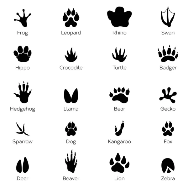 Black footprints shapes of animals. Elephant, leopard, reptile and tiger. Different steps animals frog and rhino, swan and hippo, crocodile and turtle illustration