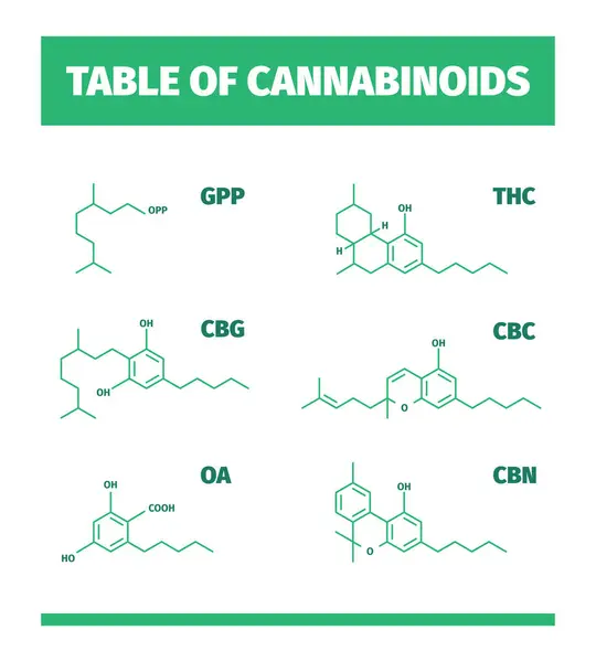 Estructuras Cannabinoides Fórmula Molecular Drogas Cannabis Química Símbolos Medicinales Vectoriales — Vector de stock