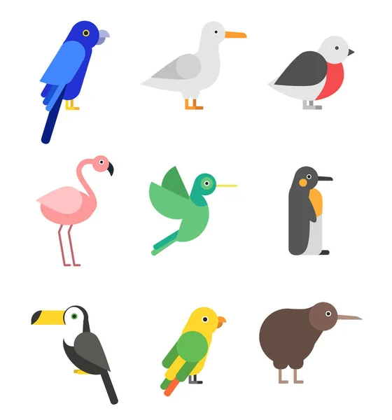 Exotic birds in flat style. Stylized pictures set of colored birds animal, wild tropical parrot and calibri. Vector illustration