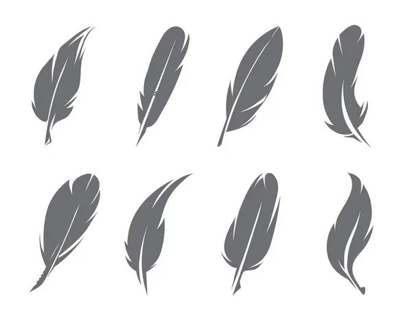 Vektorové Ilustrace Peří Pera Ptáka Pro Psaní Pero Nadýchané — Stockový vektor