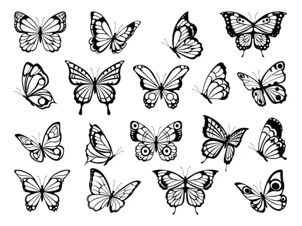 Silhouettes Butterflies Black Pictures Funny Butterflies Insect Butterfly Black Silhouette — Stock Vector