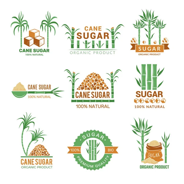 Tillverkning Sockerrör Godis Växter Produktion Gård Industri Leaf Vektor Emblem — Stock vektor