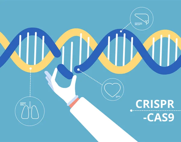 Crispr Cas9 Konzept Biochemisch Technische Medizinische Gen Forschung Mutationsbiologie Dna — Stockvektor