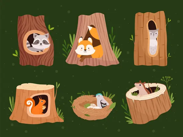 动物空心 带有孔的森林树木为野生动物提供了病媒漫画的收藏 野生浣熊和松鼠 鸟巢家插图 — 图库矢量图片