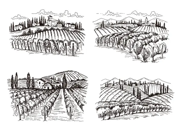 ブドウ 古いフランスのシャトーワイン風景手は ラベルのデザインプロジェクトのためのベクターイラストを描きました ワイナリー風景 ブドウ園農場 — ストックベクタ