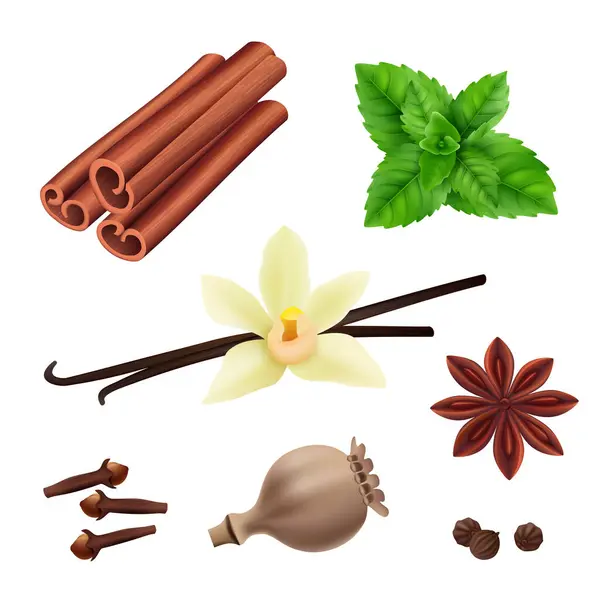 Herbs Spices Cinnamon Vegan Leaves Fresh Vanilla Seeds Cooking Vector — Stock Vector