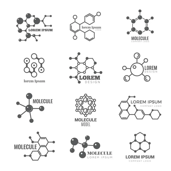 Molecular Logo Chemistry Dna Molecule Scientific Structure Atom Business Brand — Stock Vector