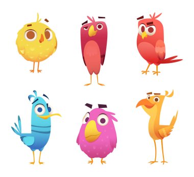 Kızgın çizgi film kuşlar. Tavuk kanarya hayvan yüzleri Kartallar ve oyun karakterleri renkli kuş tüyleri vektör. Renk kuş hayvan illüstrasyon