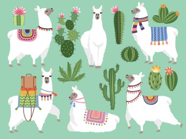 Set illustrations of animals. Llama and alpaca wool. Cute character animal lama, vector illustration clipart