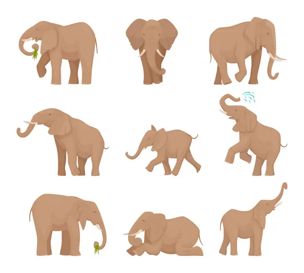Grandi Elefanti Africani Grandi Elefanti Selvatici Esatto Set Immagini Vettoriali — Vettoriale Stock
