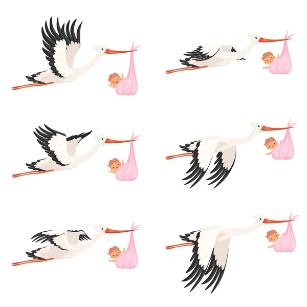 Flying stork frame animation. Bird delivery newborn baby carry vector cartoon characters isolated. Illustration of bird stork with newborn, child delivery