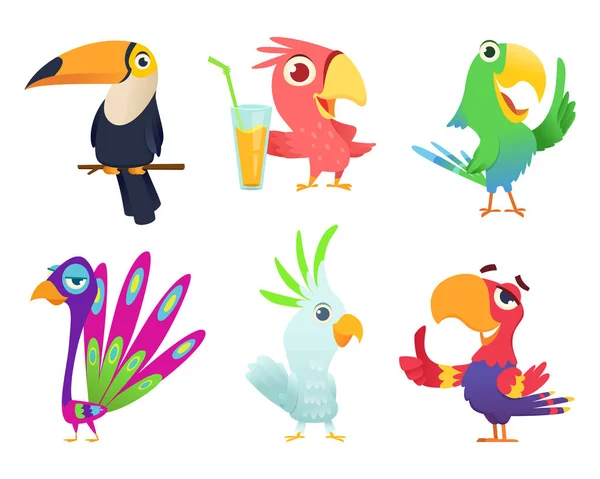 热带鹦鹉字符 羽毛奇特的鹦鹉雀鸟宠物彩色翅膀有趣的异国情调飞行 Arara 动作构成矢量图片 动物鸟字符各种各样的彩色例证 — 图库矢量图片