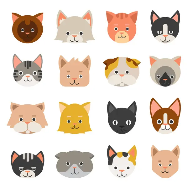 猫的不同面孔 矢量小猫的性格 猫猫的家庭插图 — 图库矢量图片