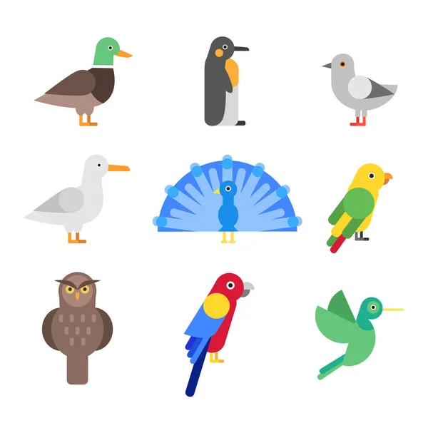 Ilustrações Estilizadas Diferentes Aves Coleção Vetorial Aves Desenhos Animados Papagaio — Vetor de Stock