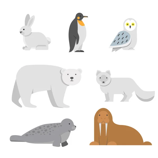 Vektorové Ilustrace Zvířat Arktický Sníh Polární Medvěd Tučňák Severní Mrože — Stockový vektor