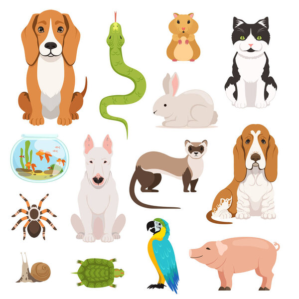 Big vector set of different domestic animals. Cats, dogs, hamster and other pets in cartoon style. Animal dog and cat, domestic hamster and rabbit illustration