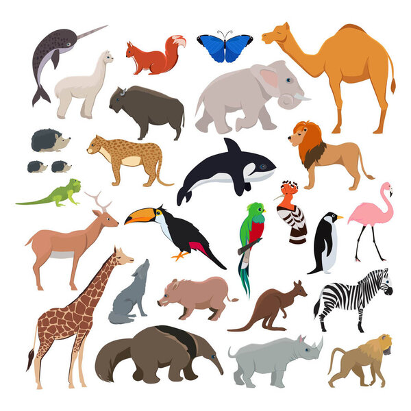 Big vector set with wild cute animals isolate on white background. Collection of character animals mammal lion and zebra, cheetah and butterfly illustration