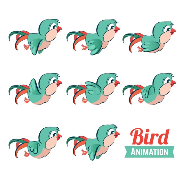 Marcos Clave Animación Aves Volando Ilustración Del Vector Del Zoológico — Vector de stock