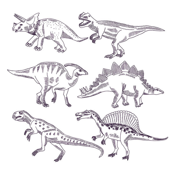 Wild life with dinosaurs. Hand drawn illustrations set of t rex and other dino types. Dinosaur sketch animal drawing, monster character prehistoric tyrannosaurus and triceratops