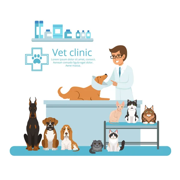 Hayvanlar Veteriner Hastanesi Dolabında Vektör Çizim Hayvan Kedi Köpek Için — Stok Vektör