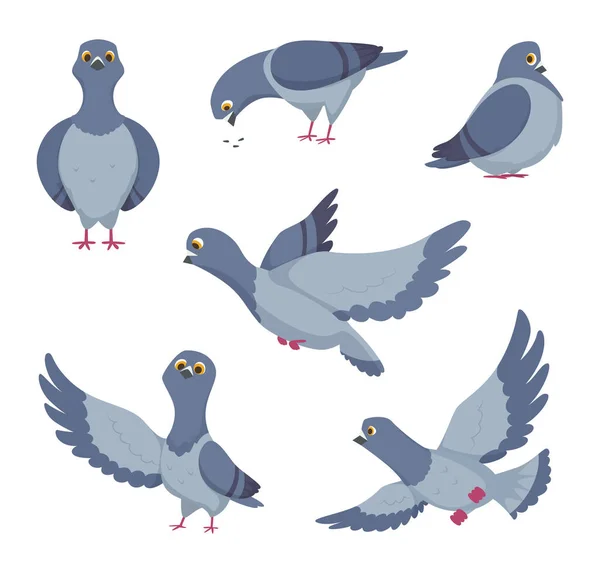 Cartoon Set Funny Pigeons Illustrations Birds Vector Pigeon Freedom Drawing — Stock Vector