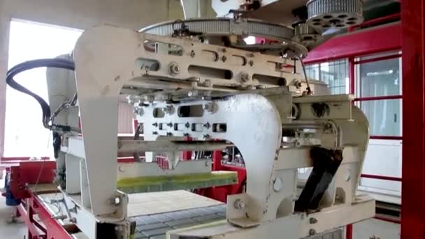 Automatisierte Produktionslinie Für Pflastersteine Der Fabrik Full — Stockvideo