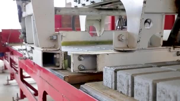 Zautomatyzowana Linia Produkcyjna Kostki Brukowej Fabryce Full — Wideo stockowe