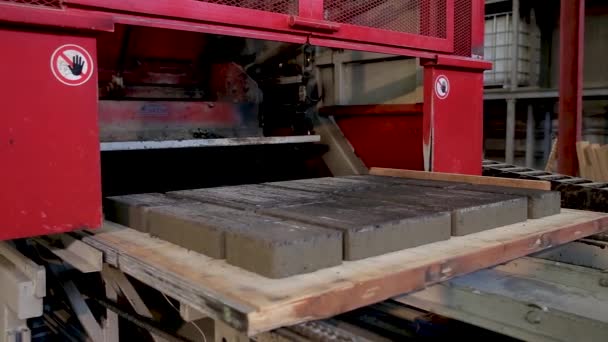 Automatizált Gyártósor Kövek Burkolására Gyárban Teljes — Stock videók