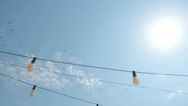 Vögel Fliegen Den Schlüssel Den Fluss Blauer Himmel — Stockvideo