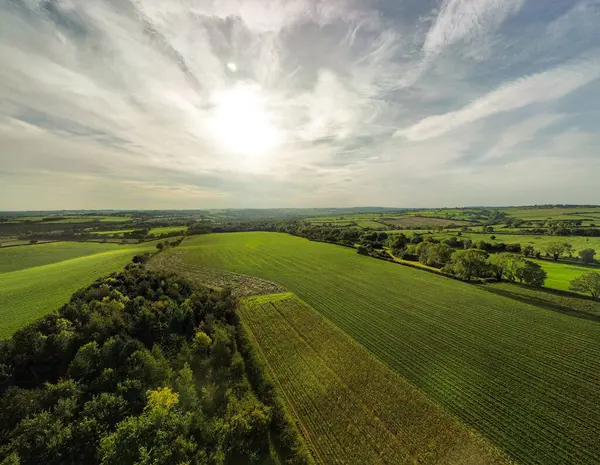 Tarım alanının havadan görünüşü