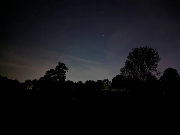 Yıldızlar ve ağaçlarla dolu gece göğü