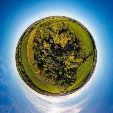 360 derece küre, güzel yeşil bir tarlanın havadan görünüşü