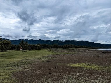 Arka planda ağaçların ve bulutlu gökyüzünün olduğu bir arazi manzarası. Kosta Rika 'da palmiye ağaçları olan tropik plaj