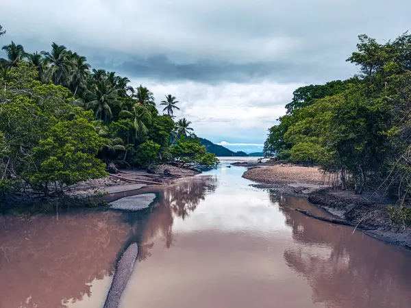 Kosta Rika 'da palmiye ağaçları olan tropik plaj