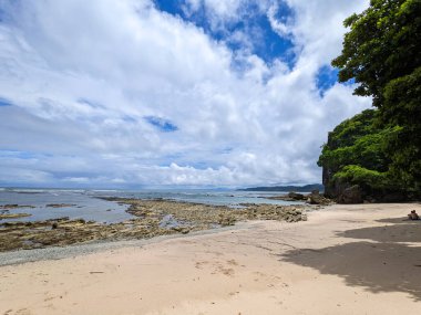 Tropikal denizin ortasında, palmiye ağaçları ve beyaz kumla güzel bir tropikal cennet.